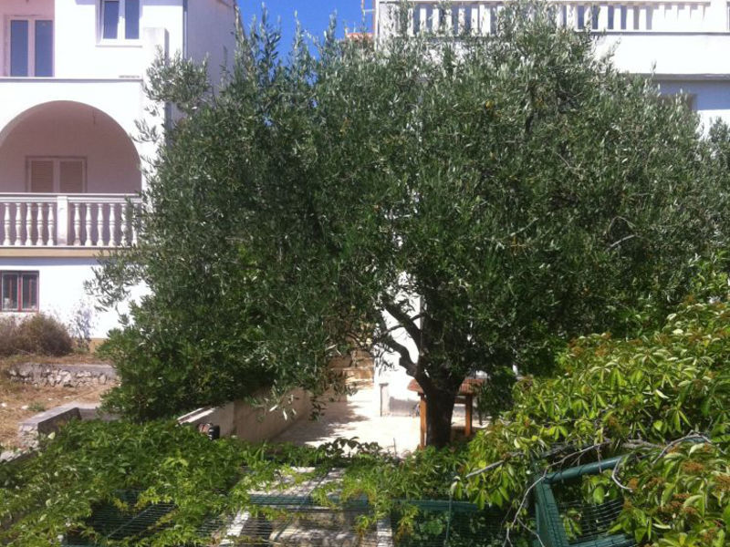 Apartmány Darjana