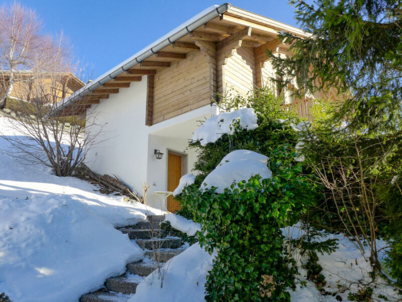 Chalet N°11