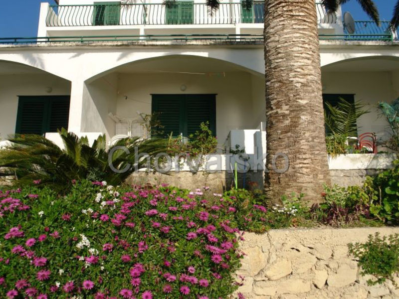 Apartmány Tri Palme 1
