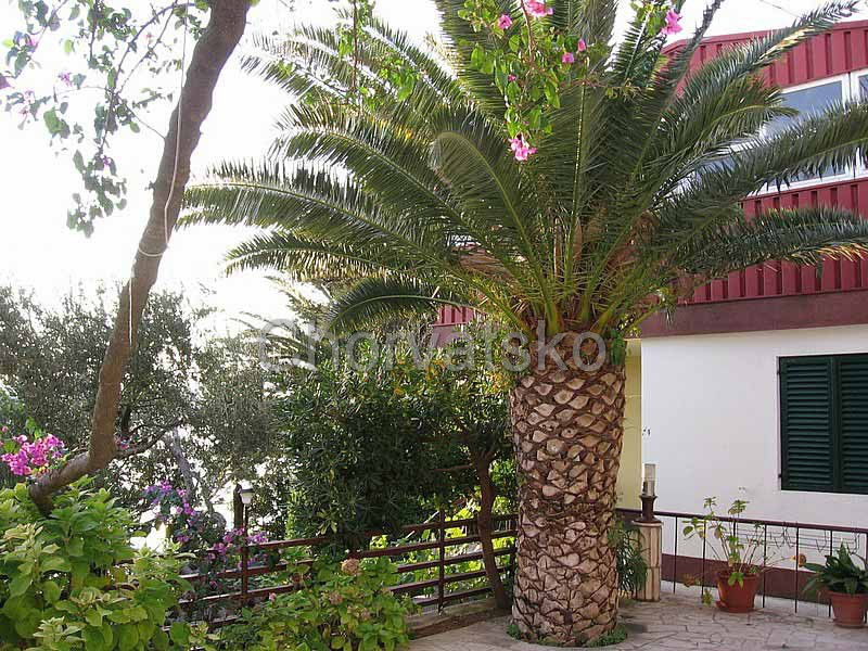 Apartmány Venato
