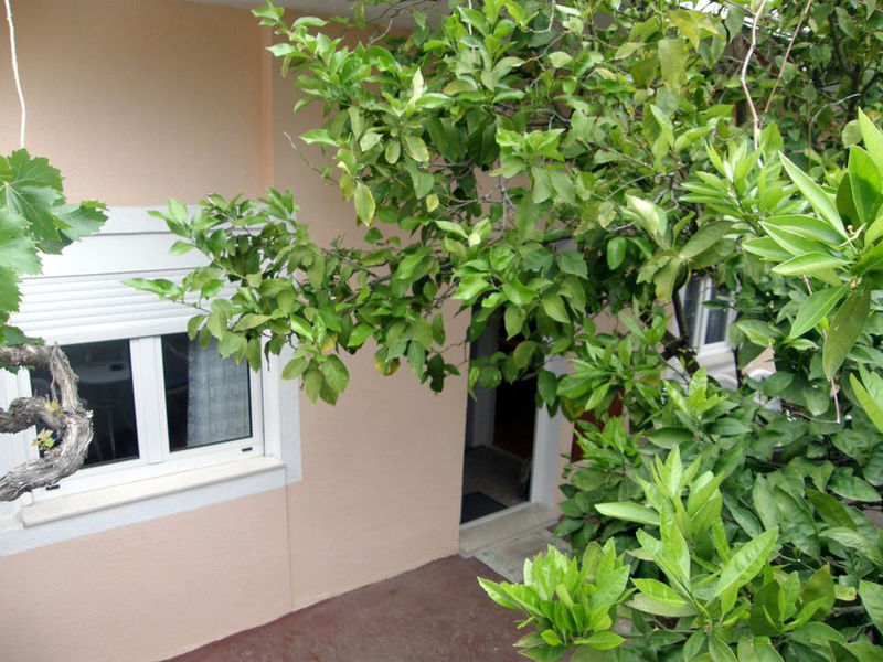 Apartmány Vladimir