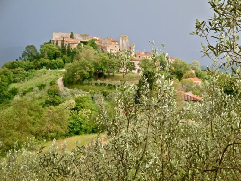 La Casa Di Life