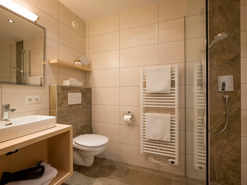 Hotel Alpina
