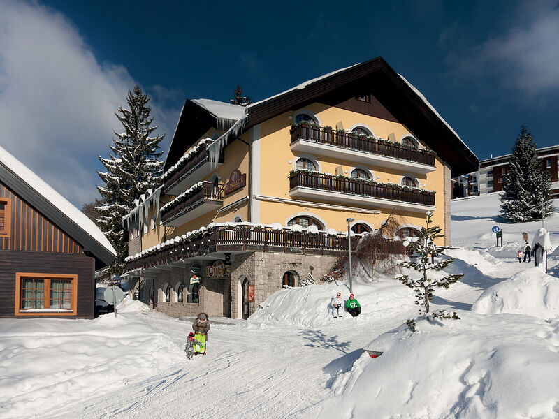 Wellness Hotel Windsor - bez skipasu