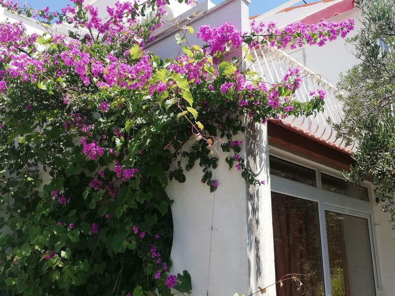 Apartmány Adelka