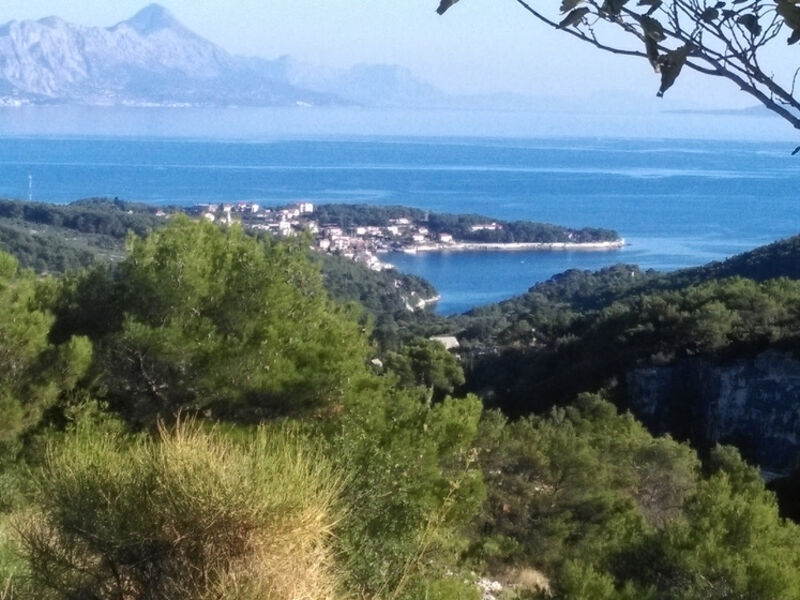 Apartmány Villa Anita