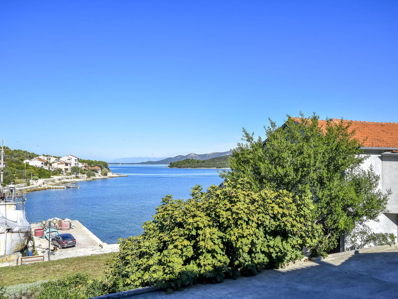 Apartmány 1355-3646