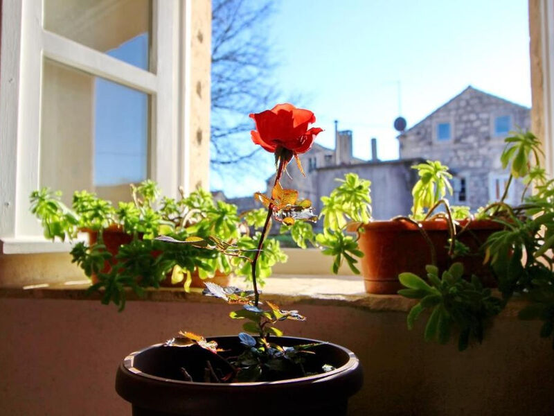 Apartmány 1355-3656