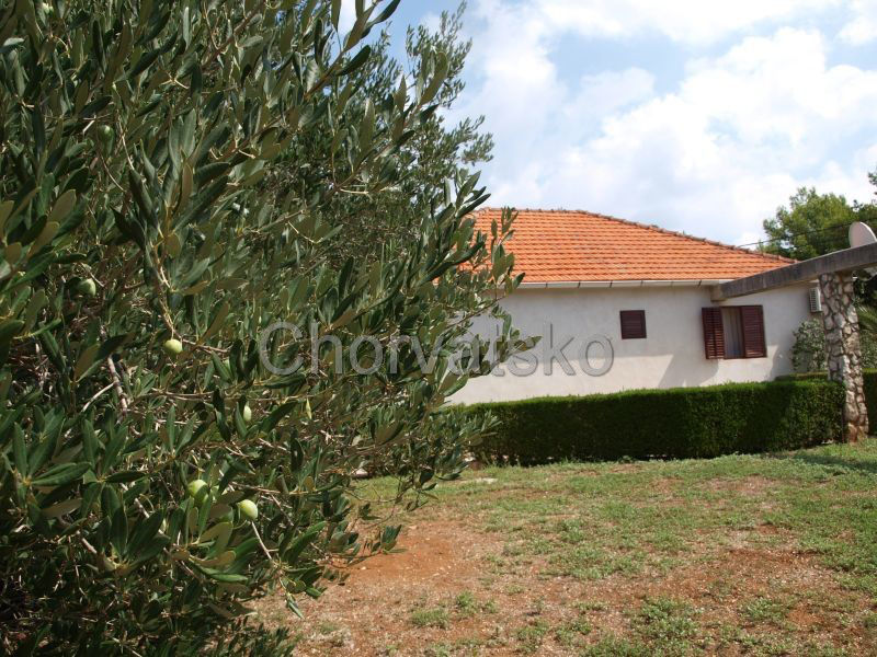 Apartmány Selbo