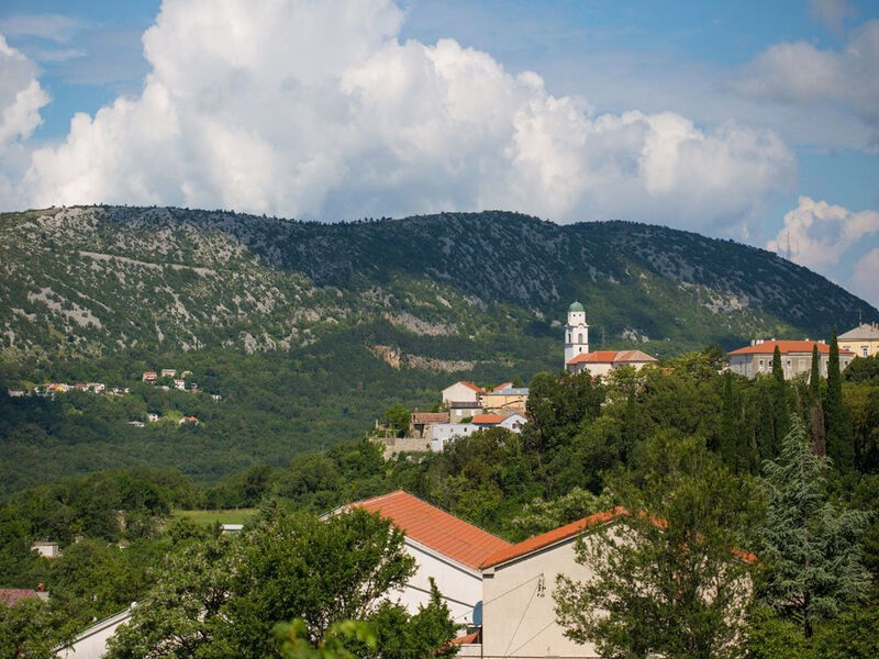 Apartmány 1355-2831