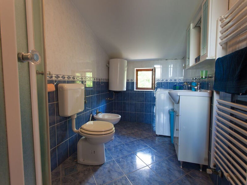 Apartmány 1355-2831
