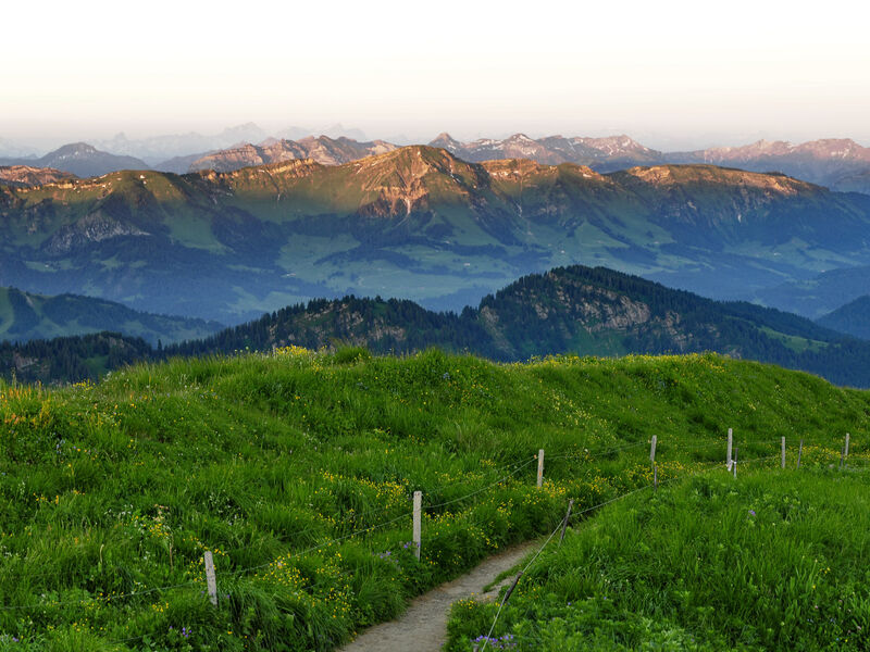 Golf- & Alpin Wellness Resort Hotel Ludwig Royal S