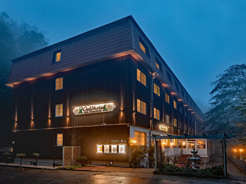 Waldhotel Am Ilsestein