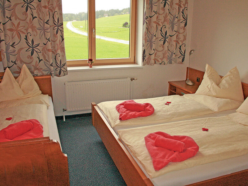 Hotel Berghof Mitterberg