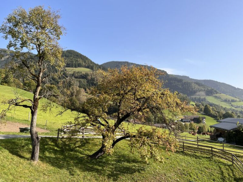Bauernhof Gasteg