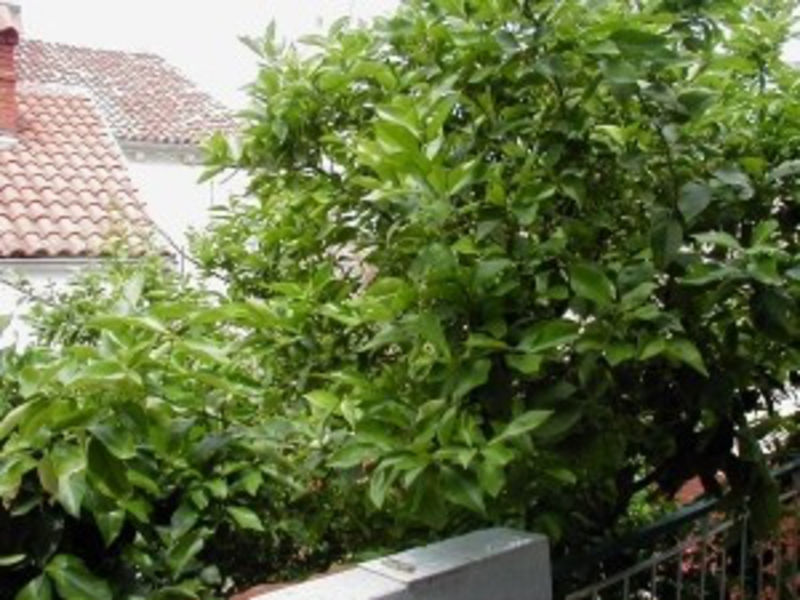 Apartmány 1349-97