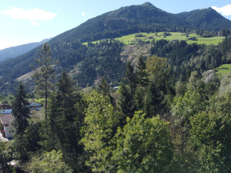 Schmidhofers Heim