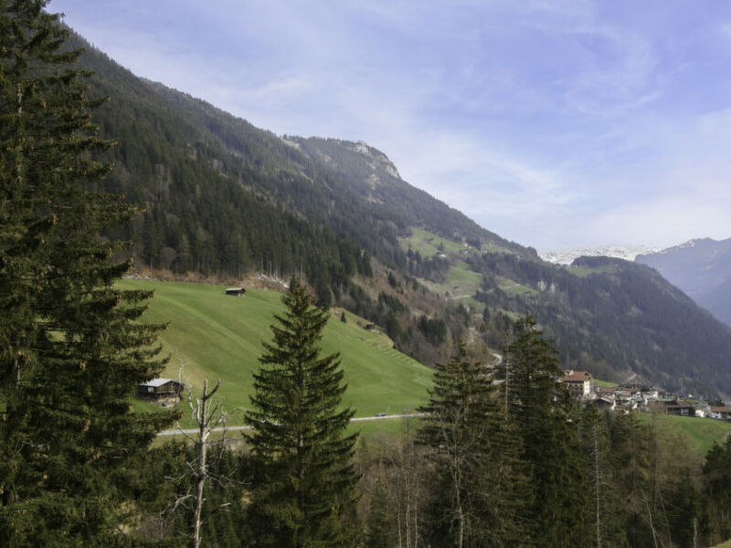 Neumann