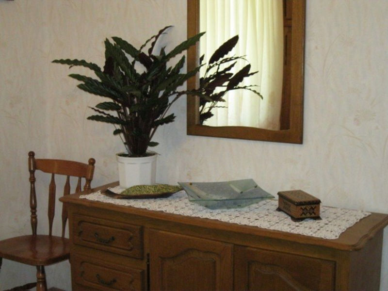 Apartmán 1349-100
