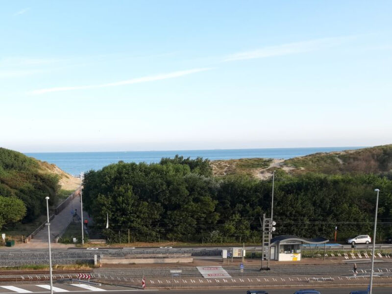 Meiboom