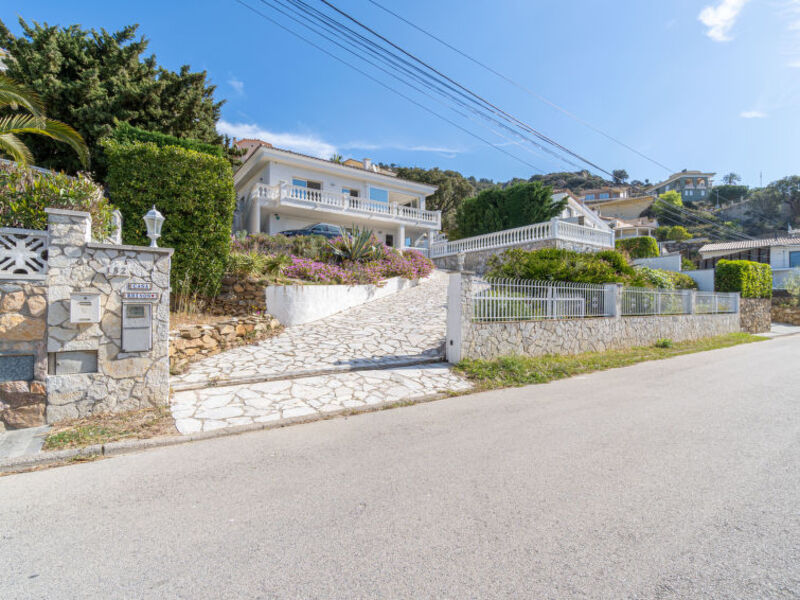 Panorama