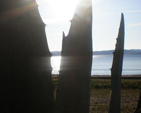 Apartmán 1350-367