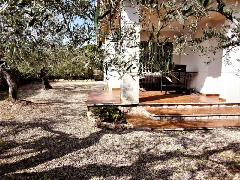 Villa Olivos