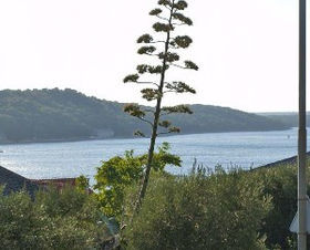 Apartmán 1349-26