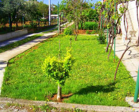 Apartmán 1350-506