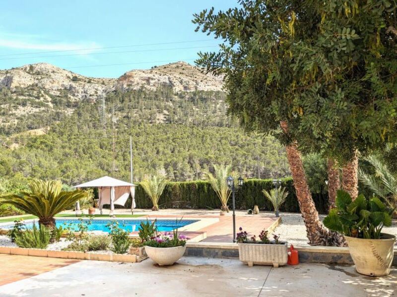 El Pinar