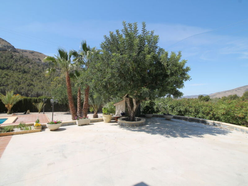 El Pinar