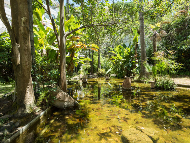 Jardines Del Mar