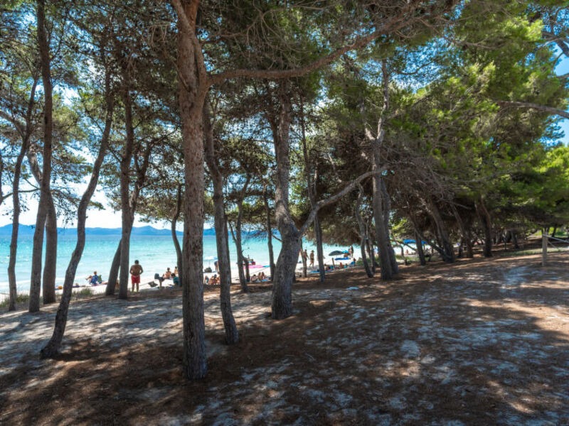 Lago Y Mar