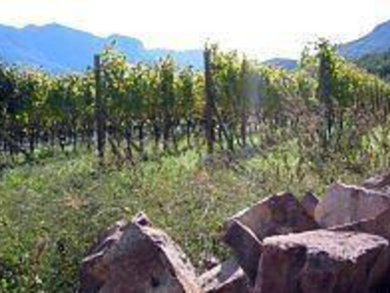 Landhaus Weingut