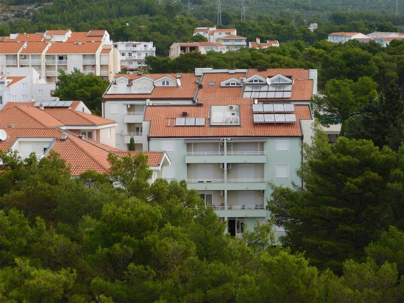 Ruža