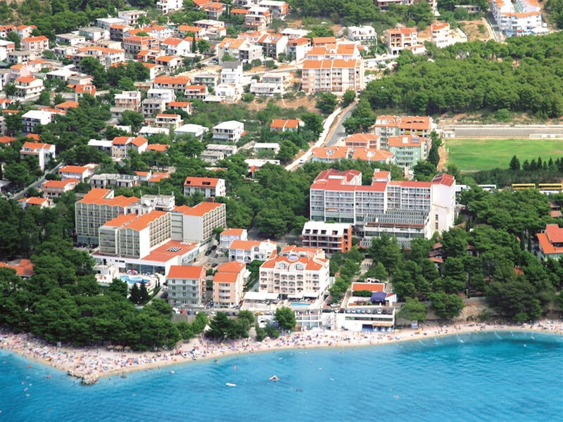 Ruža