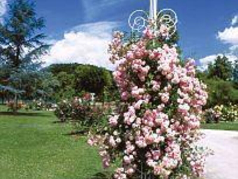 Villa Thea Kurhotel am Rosengarten