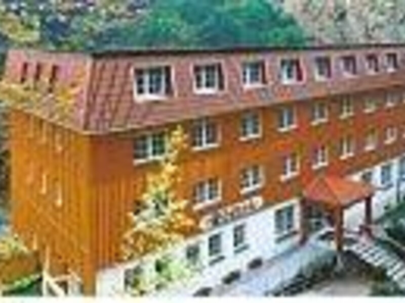 Waldhotel Am Ilsestein