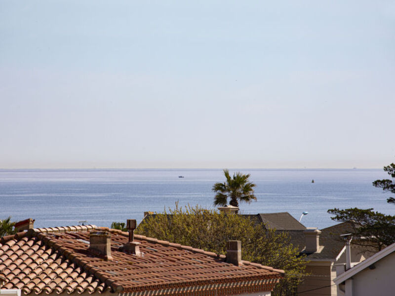 Mirasol