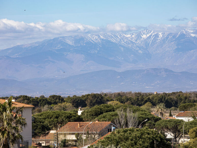 Mirasol