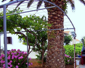Apartmán 549-405