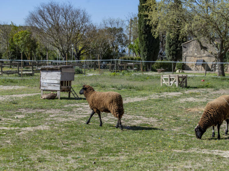 Domaine Les Peupliers