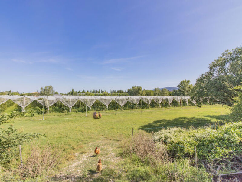 Domaine Les Peupliers