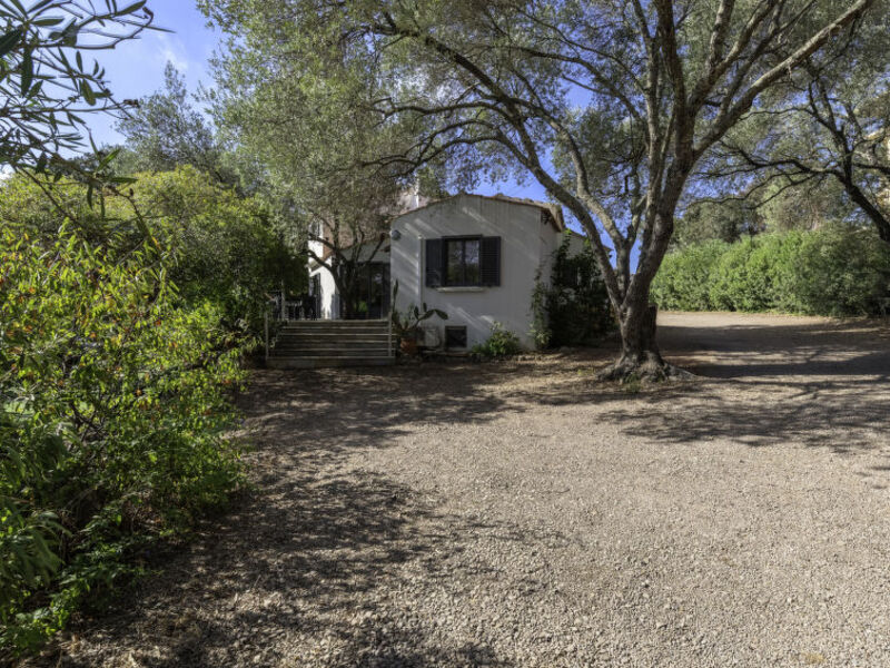 Villa Romana