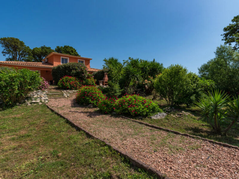 Gelormini