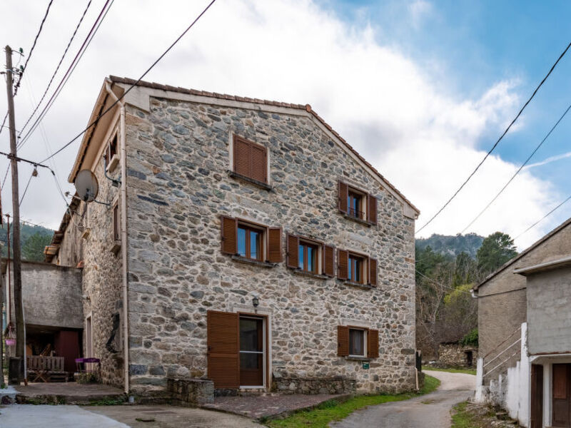 Migone De Sampolo
