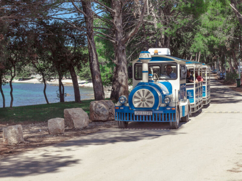 Luxury Beach Villas Porto Bus