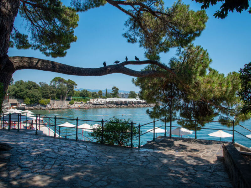 Vero