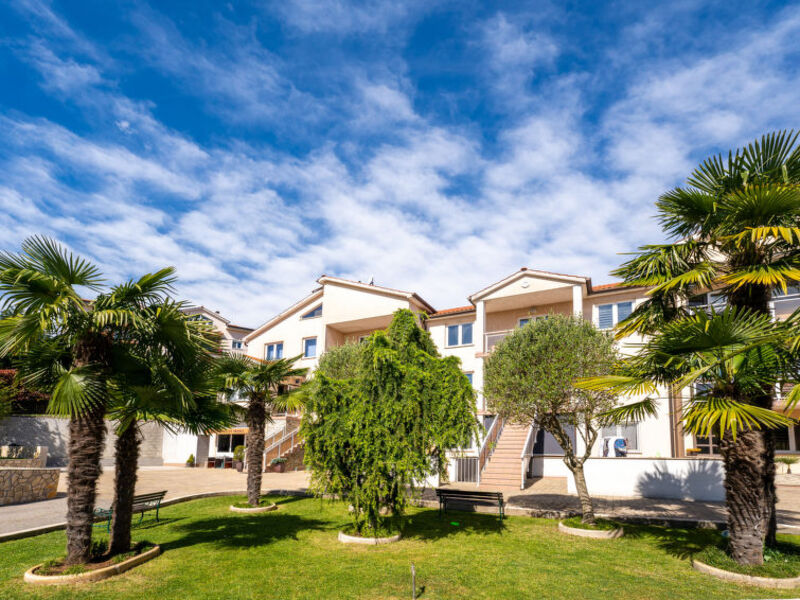 Palms