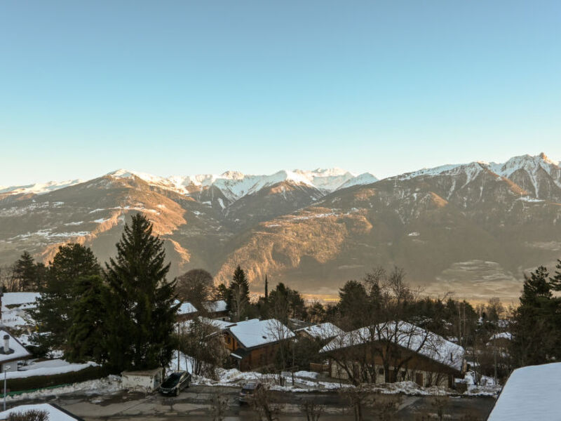 Panorama Ii 1